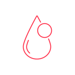 Biotina (Vitamina B7)